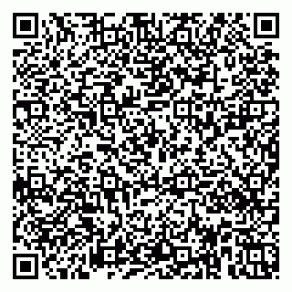 vCard 79951020314