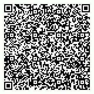 vCard 79951020316