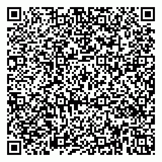 vCard 79951020317