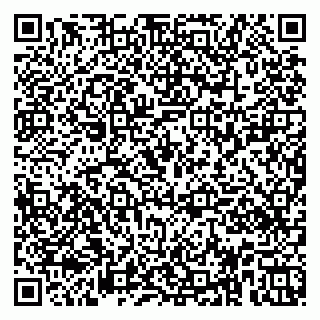 vCard 79951020318
