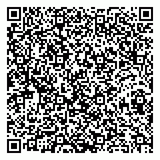 vCard 79951020319