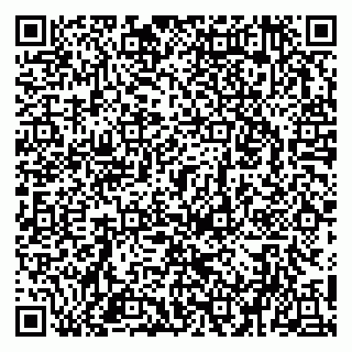 vCard 79951020321