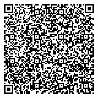 vCard 79951020323
