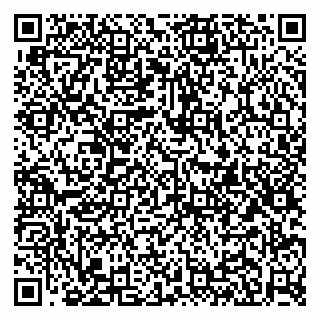 vCard 79951020324