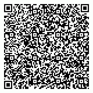 vCard 79951020325