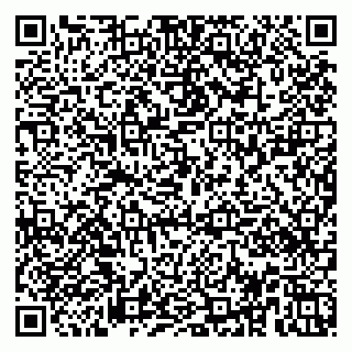 vCard 79951020327