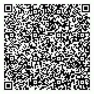 vCard 79951020328