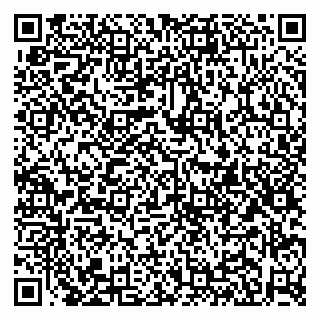 vCard 79951020329
