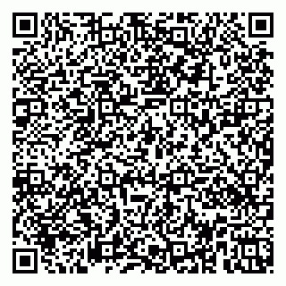 vCard 79951020331