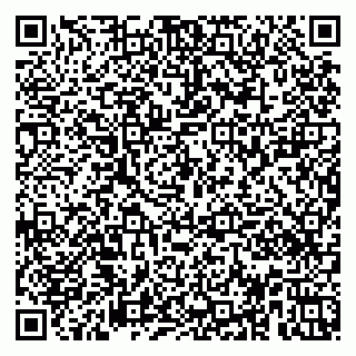 vCard 79951020333