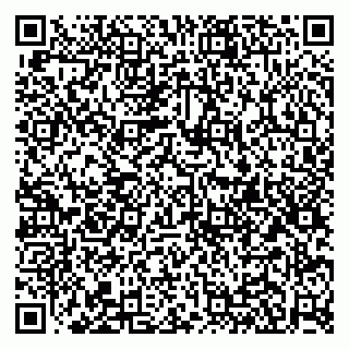 vCard 79951020334
