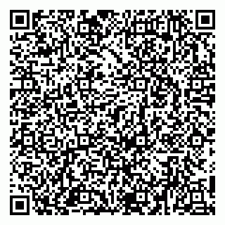 vCard 79951020335