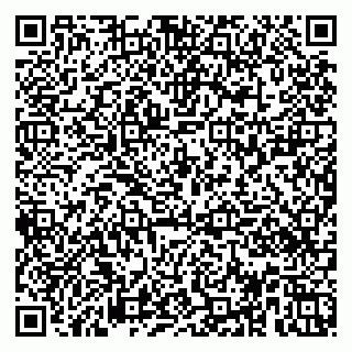 vCard 79951020337