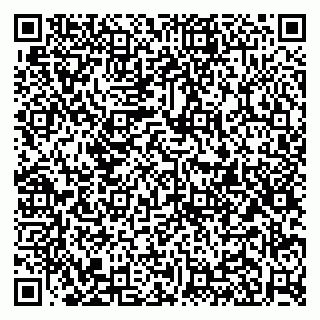 vCard 79951020341
