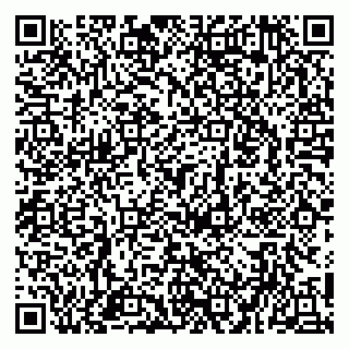 vCard 79951020351