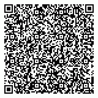 vCard 79951020354