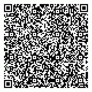 vCard 79951020355