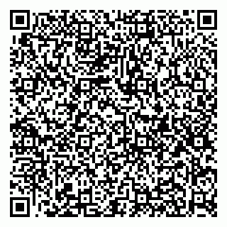 vCard 79951020365