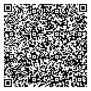 vCard 79951020369