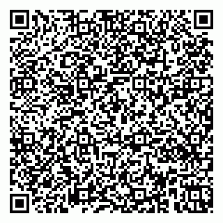 vCard 79951020371