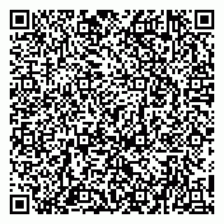 vCard 79951020373