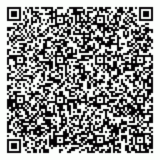 vCard 79951020374