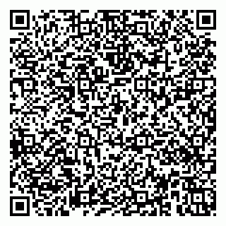 vCard 79951020376