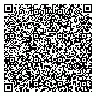 vCard 79951020378