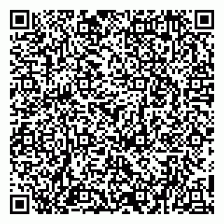 vCard 79951020379