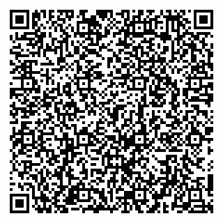 vCard 79951020380