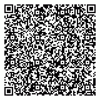 vCard 79951020381