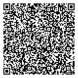 vCard 79951020383