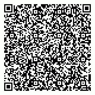vCard 79951020384