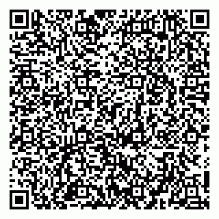 vCard 79951020385