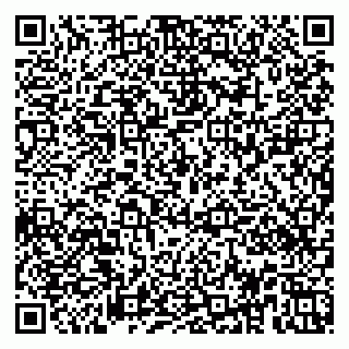 vCard 79951020387