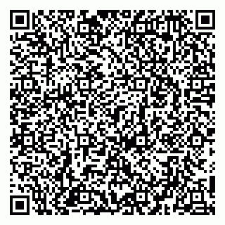vCard 79951020388