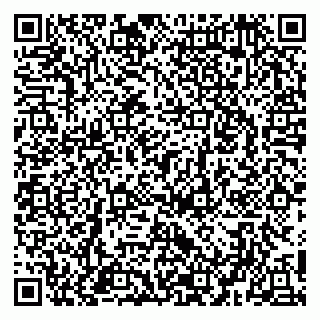 vCard 79951020389