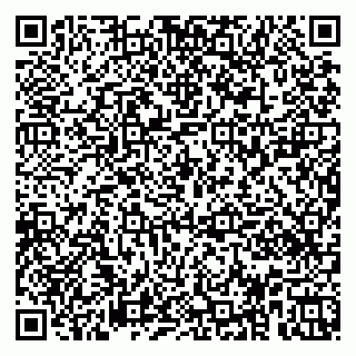 vCard 79951020399