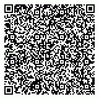 vCard 79951050198