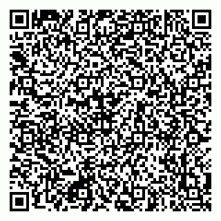 vCard 79951050301
