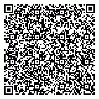 vCard 79951064517