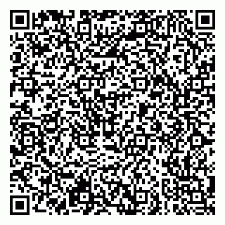 vCard 79951064537