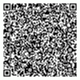 vCard 79951064538