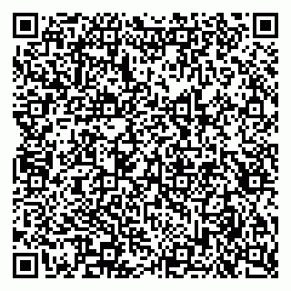 vCard 79951064581