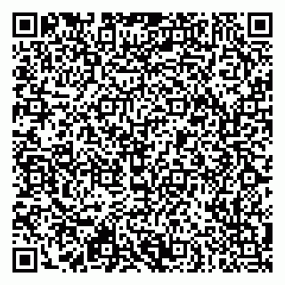 vCard 79951064705