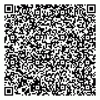 vCard 79951064708