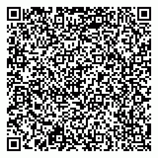 vCard 79951064717