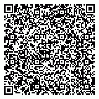 vCard 79951064725