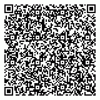 vCard 79951064731