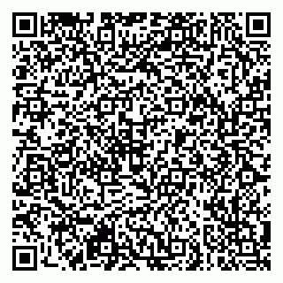 vCard 79951064735